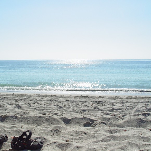 Meet your Posher, Posh - Picture 1 of 1